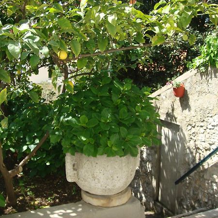 Guesthouse Manda ドゥブロブニク エクステリア 写真