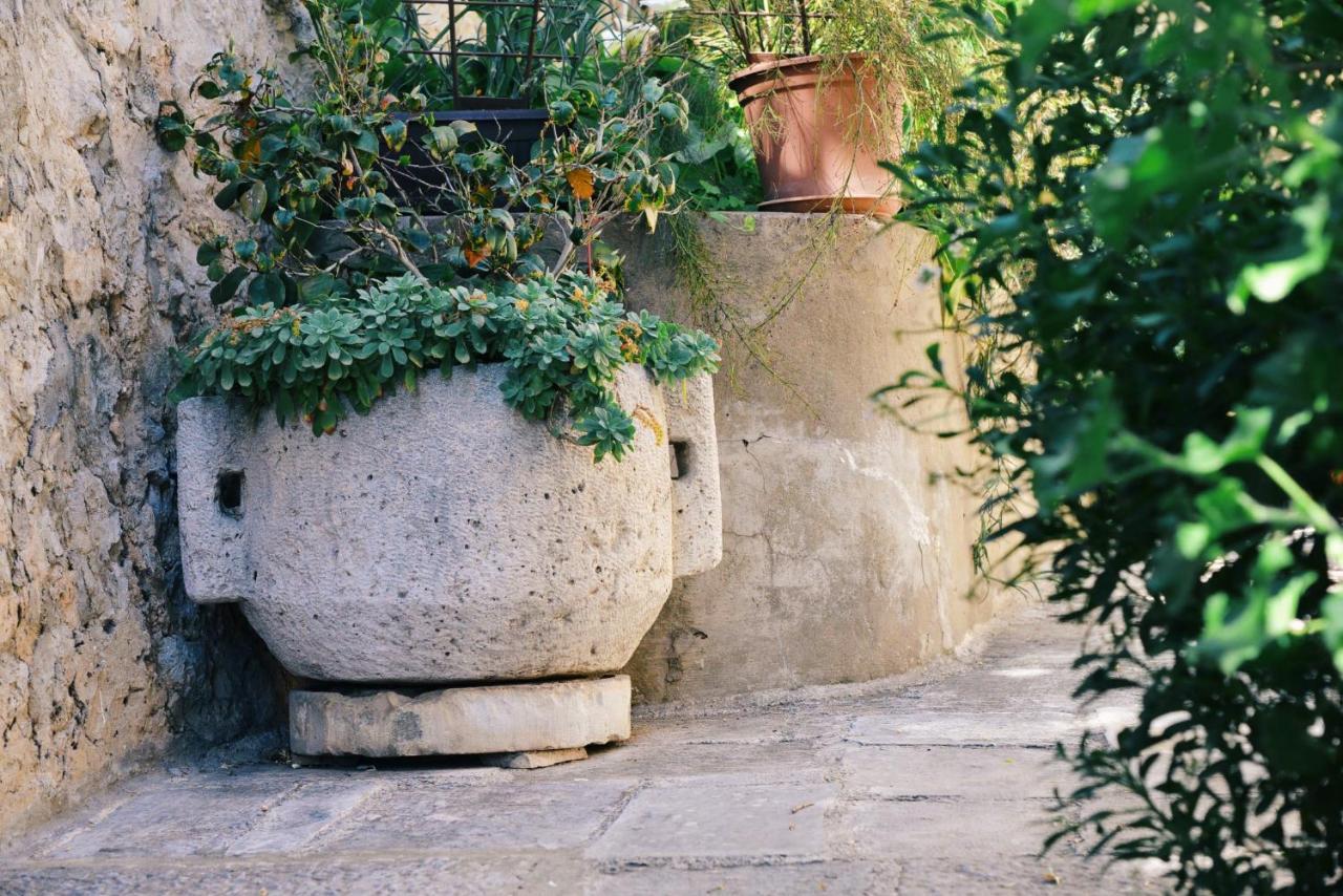 Guesthouse Manda ドゥブロブニク エクステリア 写真