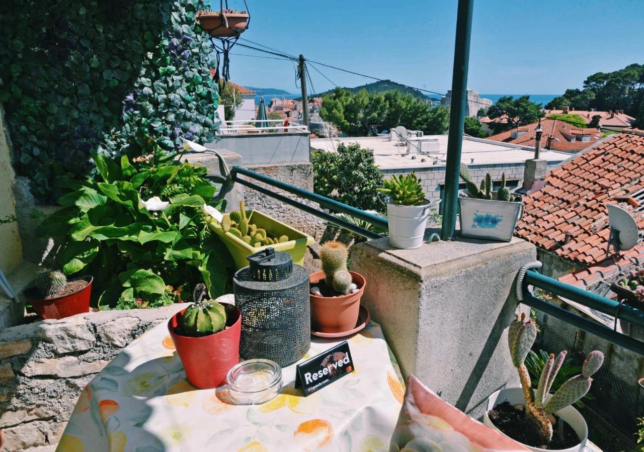 Guesthouse Manda ドゥブロブニク エクステリア 写真