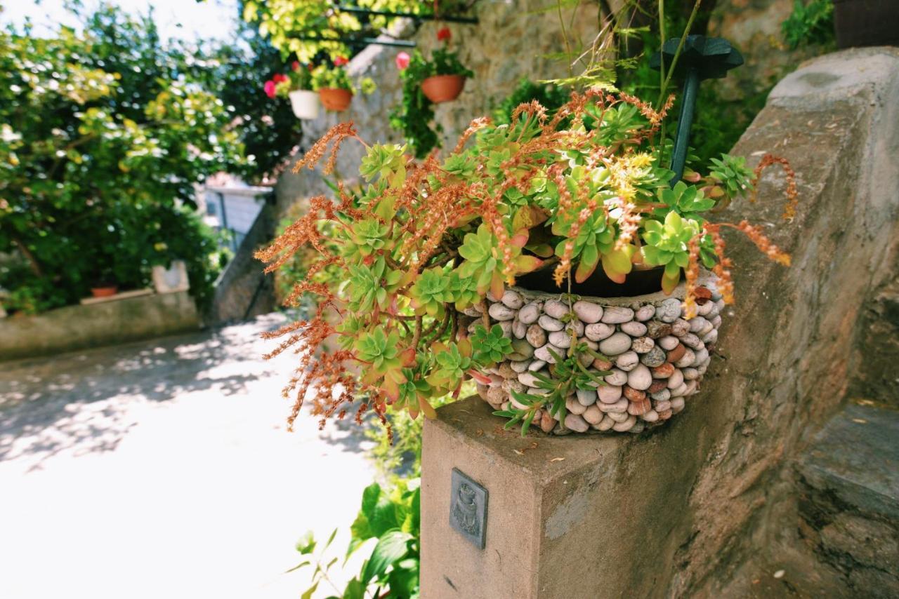 Guesthouse Manda ドゥブロブニク エクステリア 写真