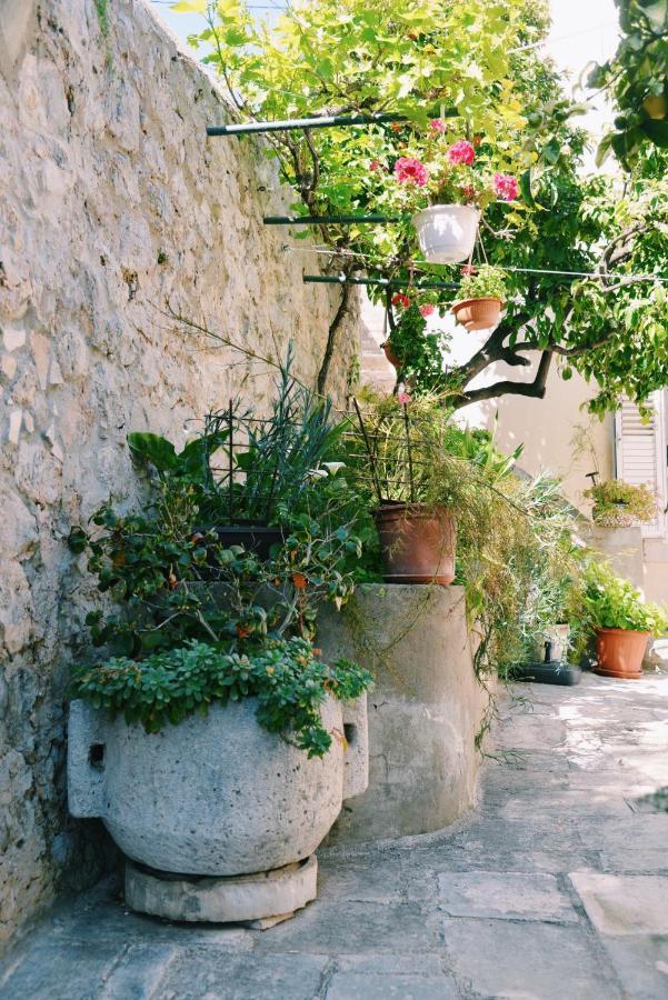 Guesthouse Manda ドゥブロブニク エクステリア 写真