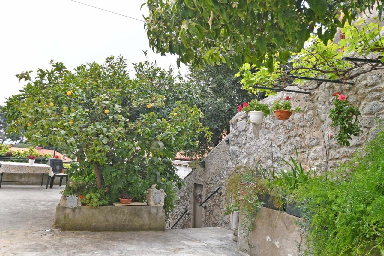 Guesthouse Manda ドゥブロブニク エクステリア 写真