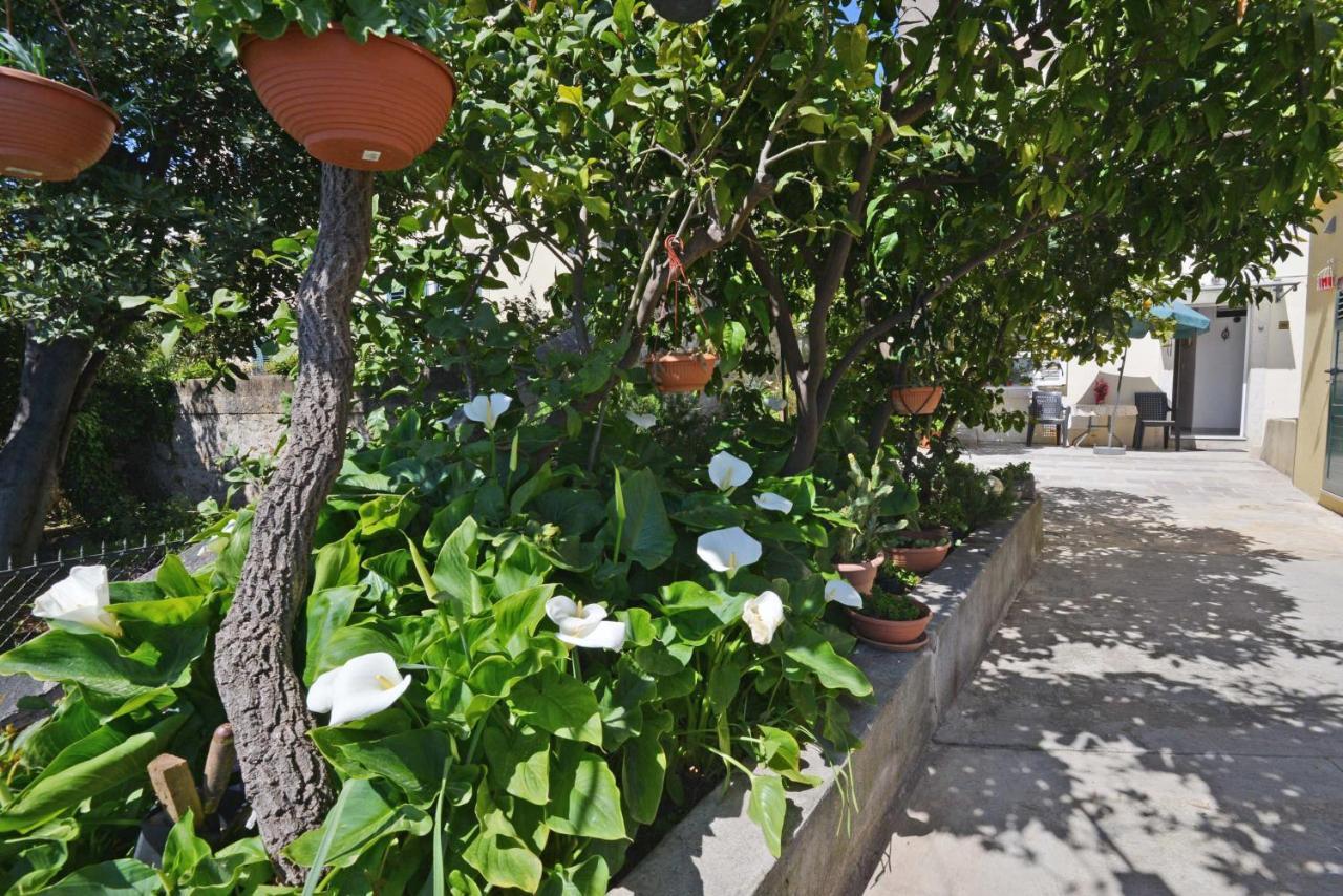 Guesthouse Manda ドゥブロブニク エクステリア 写真