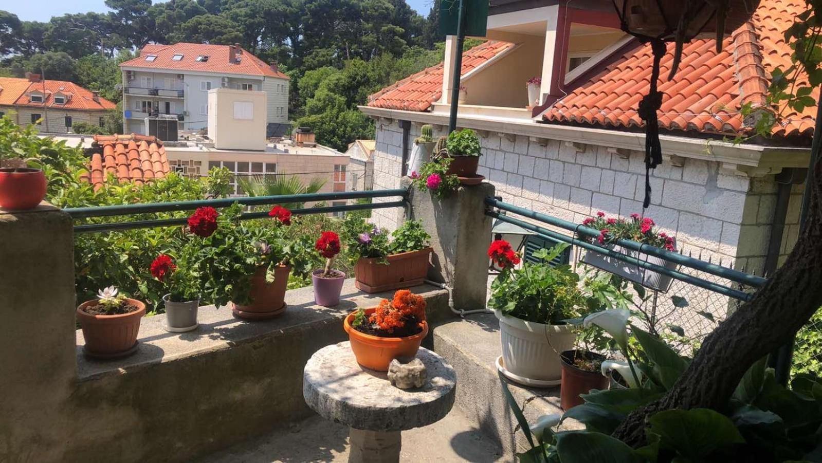 Guesthouse Manda ドゥブロブニク エクステリア 写真