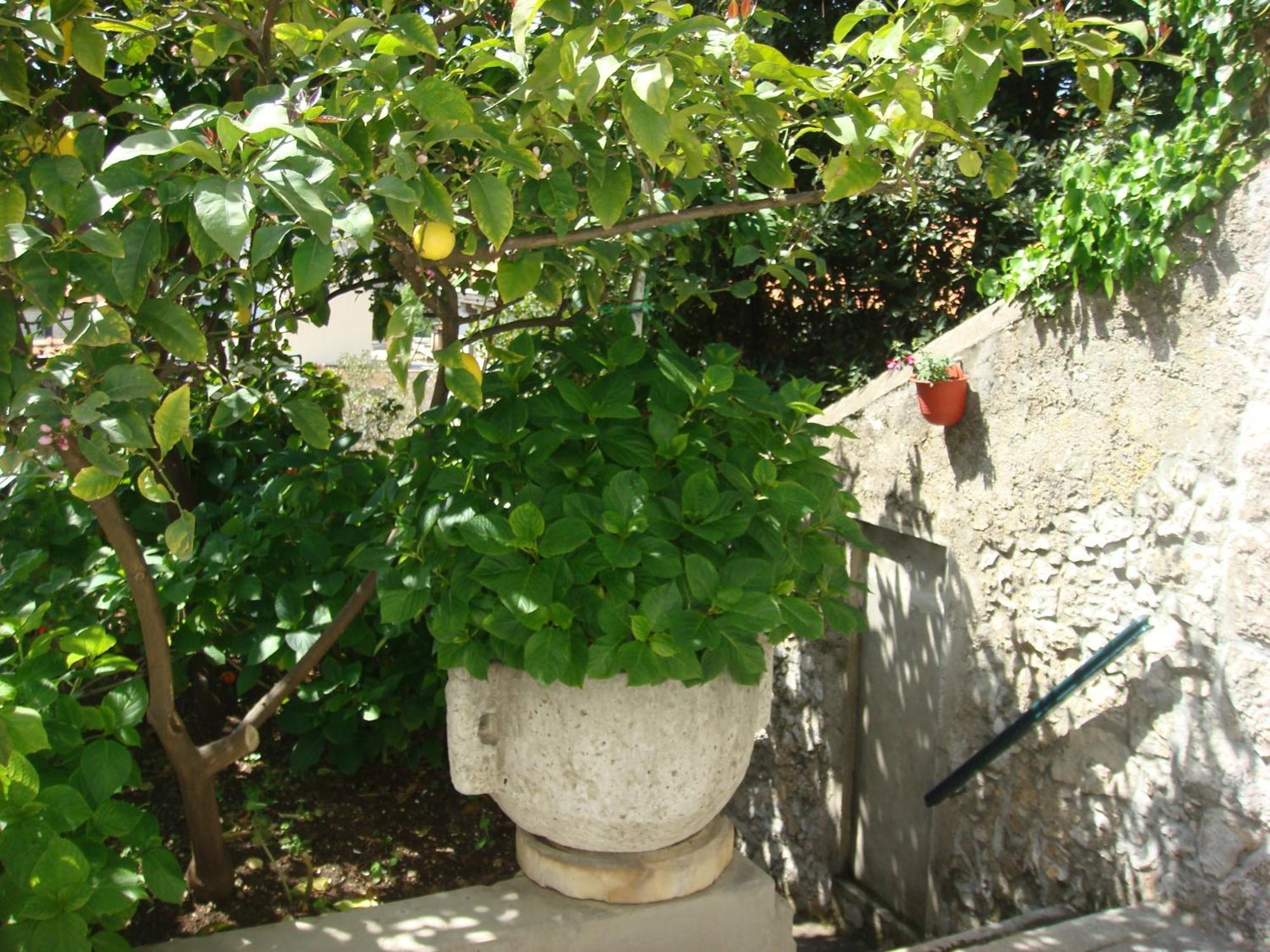 Guesthouse Manda ドゥブロブニク エクステリア 写真